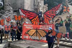 Parades and Pageants 01