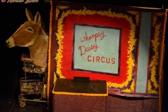 Whoopsy Daisy 01 photo by: Norman Blake