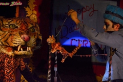 Whoopsy Daisy 04 photo by: Norman Blake