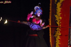 Whoopsy Daisy 08 photo by: Norman Blake